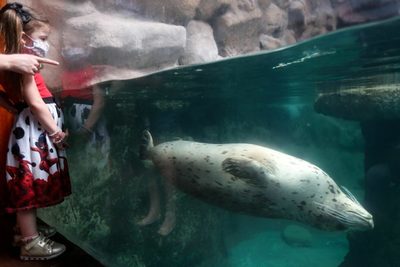 Río y Sao Paulo reabren nuevas atracciones turísticas en plena desescalada - MarketData