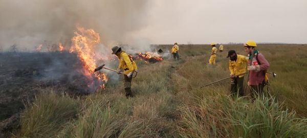 Área protegida amenazada por incendio en Caazapá - Nacionales - ABC Color