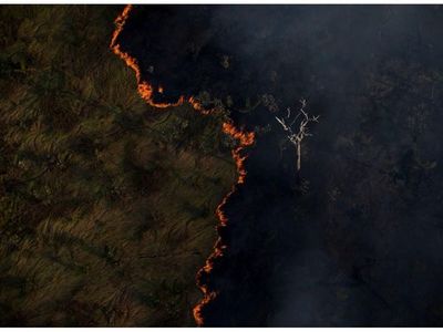 La Amazonia celebra su día cercada por grandes incendios