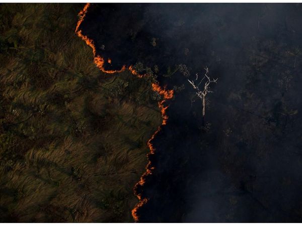 La Amazonia celebra su día cercada por grandes incendios
