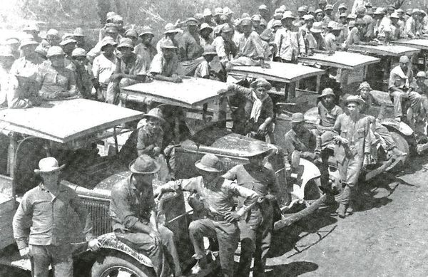 Hallan un posible “cementerio de camiones” de la Guerra del Chaco - Nacionales - ABC Color
