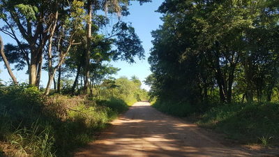 ASALTAN A REPARTIDORES DE MERCADERÍAS EN CAMINO VECINAL DE ITAPÚA POTY