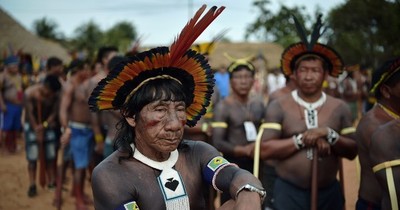 La Nación / Indígenas brasileños lanzan aplicación para informar sobre COVID-19