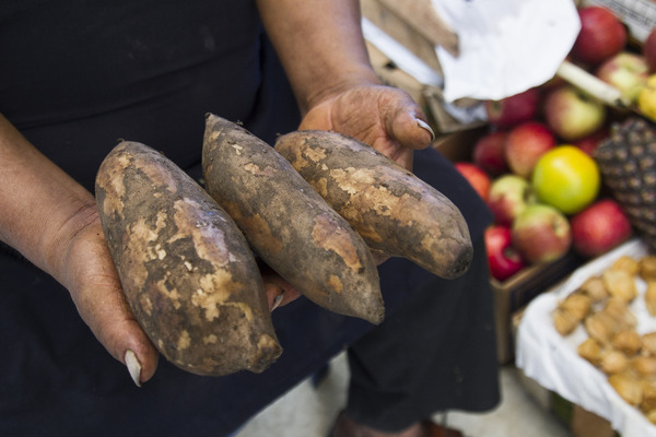 Empresas peruanas de alimentos presentarán su oferta de productos en Colombia - MarketData