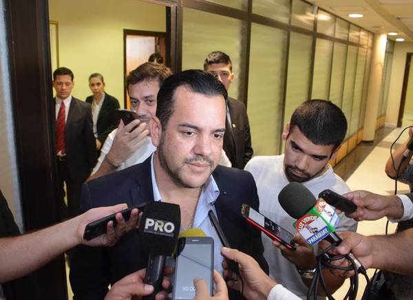 Friedmann con las horas contadas: Senadores presentarían mañana pedido de su pérdida de investidura - ADN Paraguayo