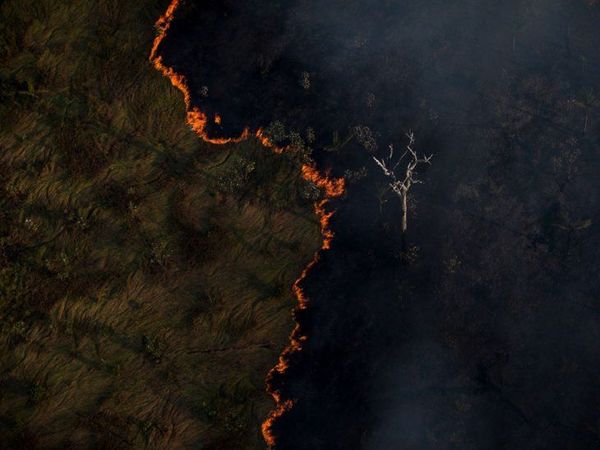 La Amazonia celebra su día cercada por grandes incendios - Noticiero Paraguay