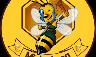 Miel Gibson: «¡Habemus logo!”, anunció marca chilena amenazada por abogados de actor