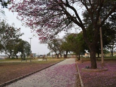Plantearán revertir desafectación de la plaza Eligio Ayala