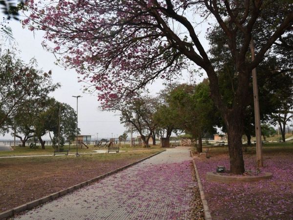Plantearán revertir desafectación de la plaza Eligio Ayala