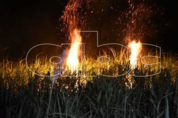 Bomberos logran controlar incendio de cañaverales en Nueva Italia - Nacionales - ABC Color
