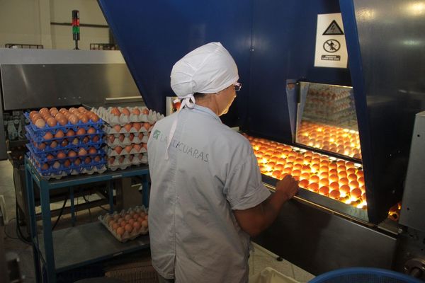 Industria con visión de futuro