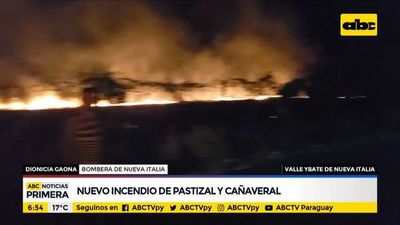 Incendio en pastizal y cañaveral de Nueva Italia - ABC Noticias - ABC Color