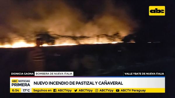 Incendio en pastizal y cañaveral de Nueva Italia - ABC Noticias - ABC Color
