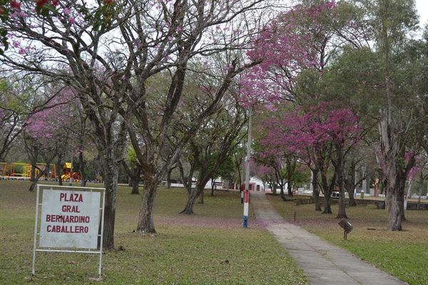 Villa Florida conmemoró 140 años de fundación - Nacionales - ABC Color