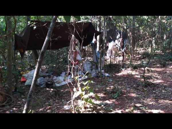 Muerte de niñas en el norte: Senado fija sesión reservada para pedir explicaciones
