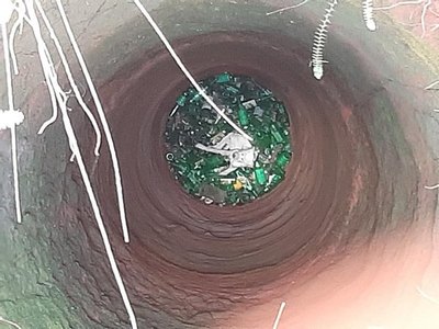 Crónica / Bomberos rescataron a una perrita del pozo y la adoptaron