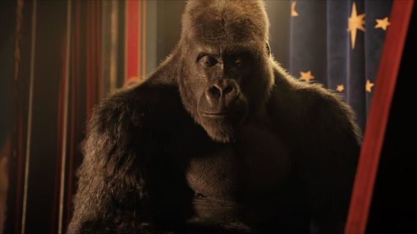 “The One and Only Ivan”, una nueva fábula animalista de Disney - Espectáculos - ABC Color