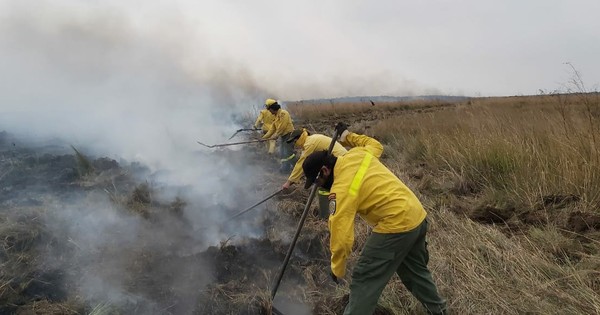 La Nación / Controlan incendio que amenazaba humedal más grande del país, “Isla Susu se encuentra a salvo”
