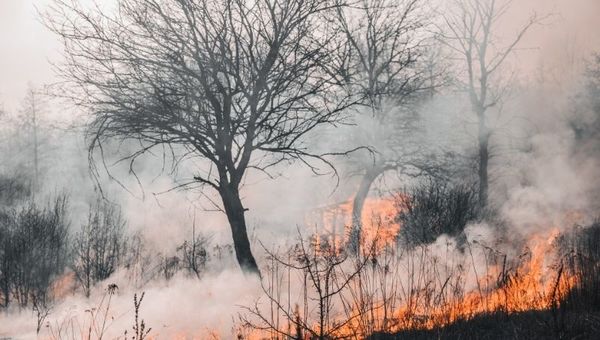 Daño ambiental le cuesta al país aproximadamente US$ 3.600 millones anuales