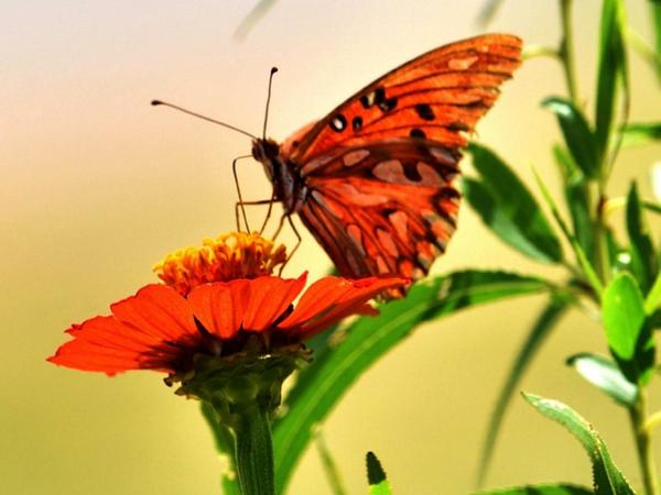 Muestra colectiva sobre la naturaleza