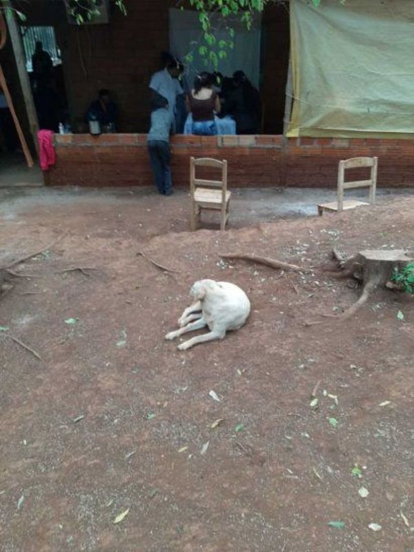 Bebito murió ahogado en un balde