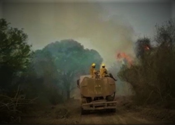 Titánica lucha contra un voraz incendio en la zona del río Pilcomayo