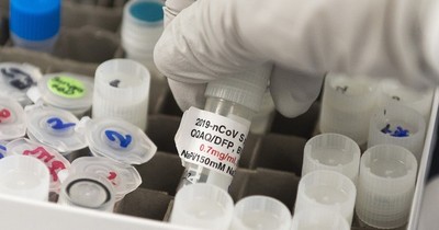 La Nación / Nueve desarrolladores de vacunas contra el COVID-19 prometen rigor científico