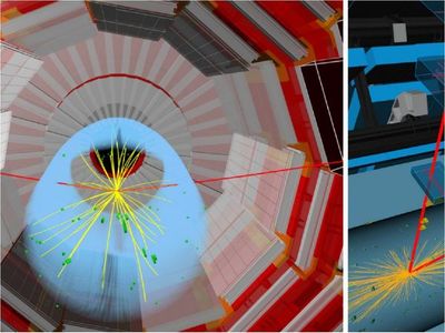 Bosón de Higgs interactúa con partículas como los muones, algo infrecuente