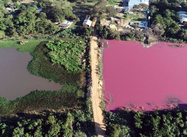 Juez rechaza el cierre de la empresa que contaminó la Laguna Cerro - Nacionales - ABC Color