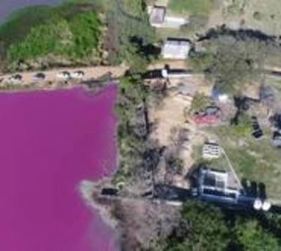 Justicia rechaza cierre de curtiembre cercana a laguna Cerro - Paraguay.com