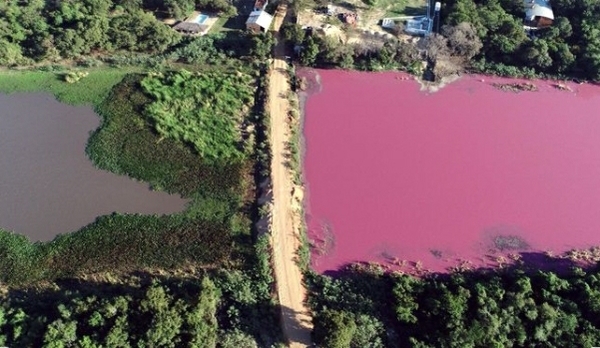 Juez rechaza cierre de una empresa por Laguna contaminada