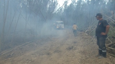 Cerca de 3.000 hectáreas afectadas tras incendio forestal en la zona del Pilcomayo