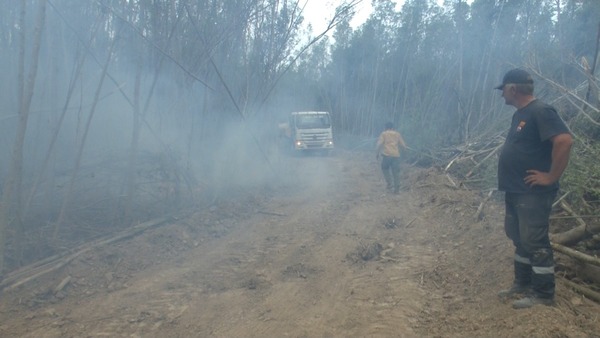 Cerca de 3.000 hectáreas afectadas tras incendio forestal en la zona del Pilcomayo