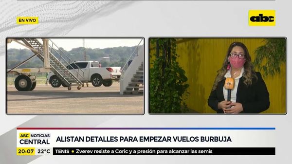 Alistan dellates para empezar “vuelos burbuja” - ABC Noticias - ABC Color