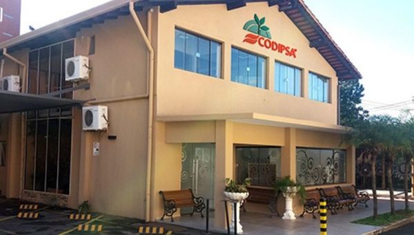 Codipsa: “El volumen de exportación de almidón de mandioca estará por las 50.000 toneladas en el 2020”