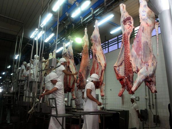 Buscan reforzar imagen de la carne paraguaya en el mercado de Chile