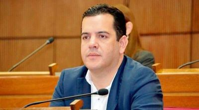 Pérdida de investidura de Friedmann: pedido se presenta hoy