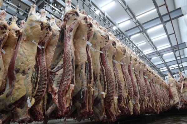 Crecerían las exportaciones paraguayas de carne bovina en 2021, estimó USDA