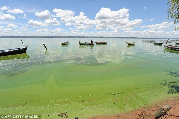 Nueva propuesta para tratar de recuperar el lago Ypacarai incluye drones acuáticos