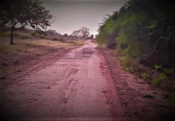 Iniciativa ciudadana en Irala Fernández fomenta caminata y limpieza del medio ambiente