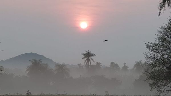 Misiones; aumento de temperatura desde hoy con probabilidades de lluvias - Digital Misiones