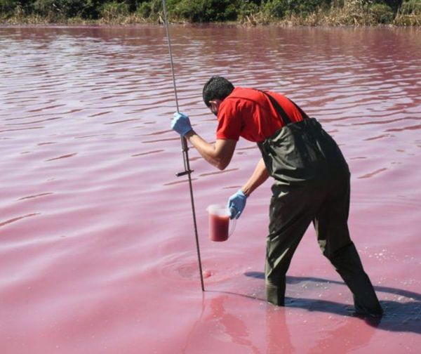 Juez rechaza pedido de cierre de curtiembre que contaminó laguna en Limpio