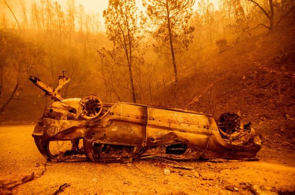 Incendios “sin precedentes” arrasan la costa oeste de EE.UU. - Mundo - ABC Color