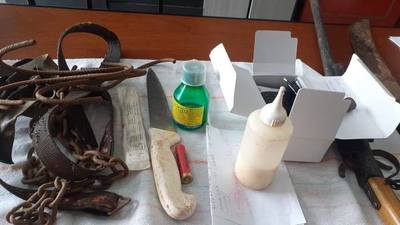Caso faena de perros: Fiscalía allanó un domicilio en Itacurubí de la Cordillera, incautó evidencias e imputó a supuesta autora - ADN Paraguayo