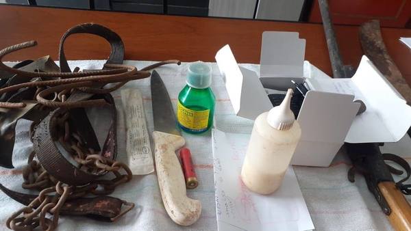 Caso faena de perros: Fiscalía allanó un domicilio en Itacurubí de la Cordillera, incautó evidencias e imputó a supuesta autora - ADN Paraguayo
