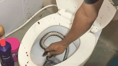 Crónica / Mbói en el “pipiroom” le mordió “su asunto”