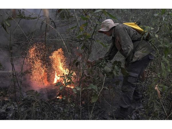 Incendios siguen activos y amenazan al Pantanal en Brasil
