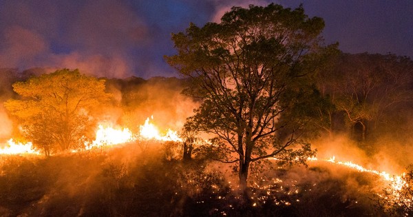 La Nación / Incendios amenazan gigantesco humedal de Brasil con la mayor reserva de jaguares