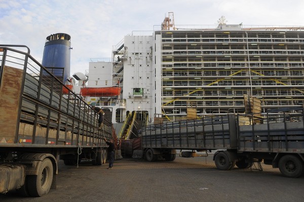 Turquía: importación de ganado con tendencia bajista hasta llegar a mínimos en 2022