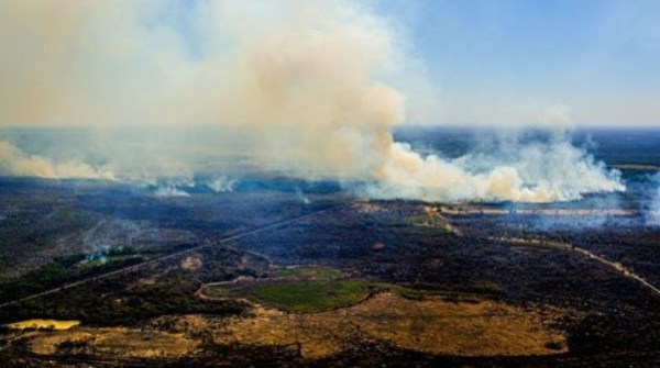 Incendios en el Pantanal de Brasil amenazan una reserva de jaguares